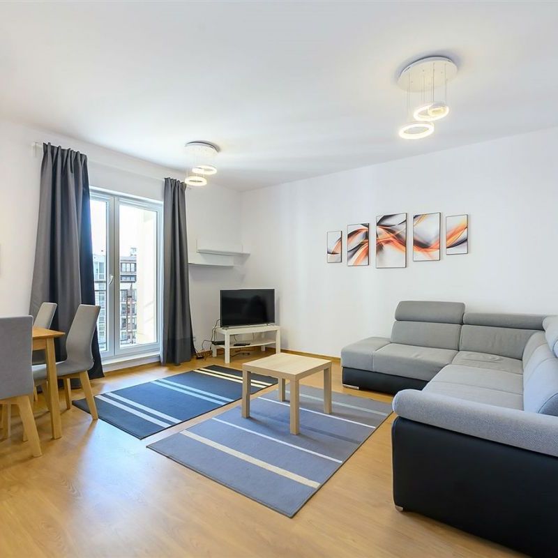 Apartament do wynajęcia blisko Akademii Medycznej - Photo 1
