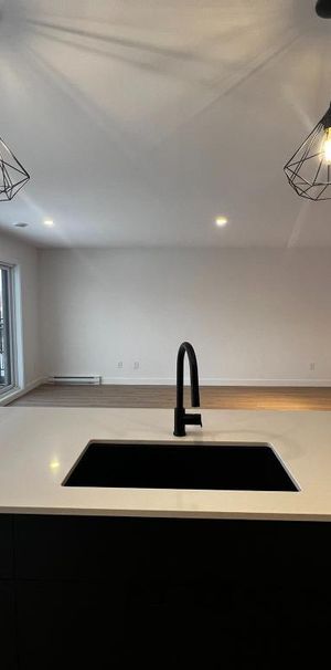 4 1/2 à louer, St-Jean-Sur-Richelieu, construction neuve, borne électrique - Photo 1