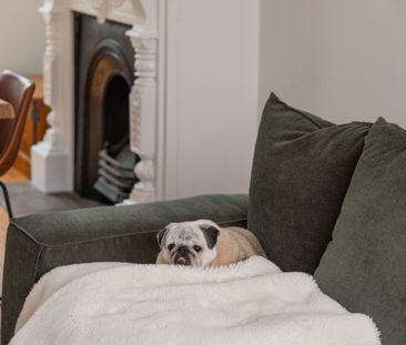 7 Kidmans Terrace, Woolloomooloo NSW 2011 - House For Rent | Domain - Photo 6