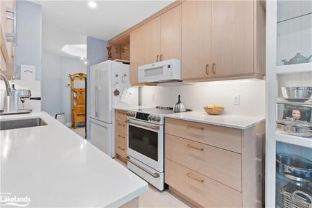 For Lease - 10 BAY Street Unit# 101, Blue Mountains, Ontario - Photo 4