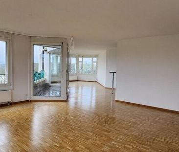 Magnifique appartement avec vue imprenable sur le Rhône - Foto 1