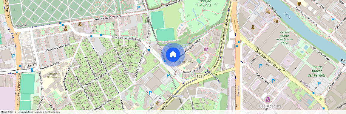 Chemin du Fief-de-Chapitre 6, 1213 Petit-Lancy