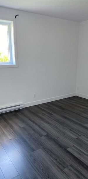 Immeuble - 1470-1480 Rue Lionel-Giroux, Drummondville 1470 Lionel Giroux - Photo 1