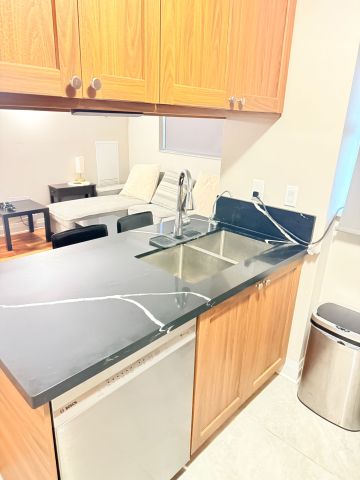 For Lease - 60 Saint Patrick Street Unit# 636, Toronto, Ontario - Photo 4