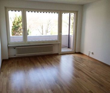Beautiful apartment in Zurich Seebach - Photo 4