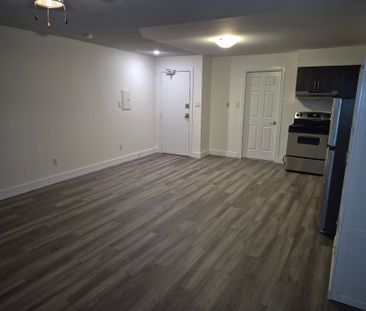 For Lease - 27 Bridge Street Unit# 107, Brantford, Ontario - Photo 3