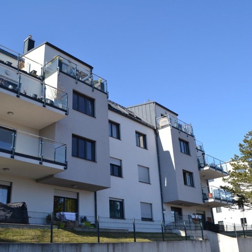 Mitten im Grünen beim Hörndlwald – Top Terrassenwohnung - Photo 1