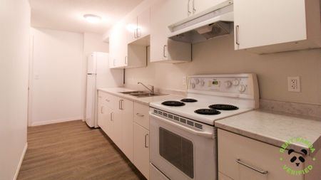 For Lease - 404 Grange Road Unit# Basement, Guelph, Ontario - Photo 2