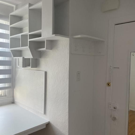 1 1/2 - Montréal (Le Plateau Mont-Royal) - 900 $/mois - Photo 1