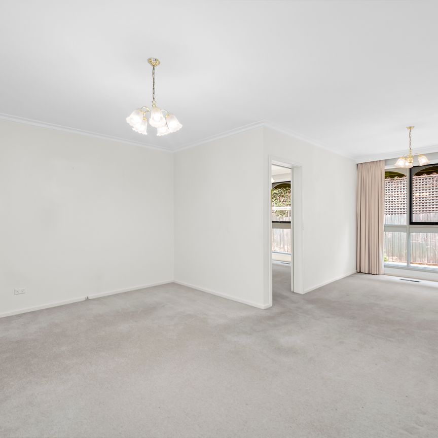 6/2-6 Fraser Street MALVERN - Photo 1