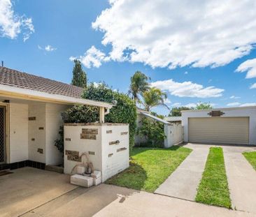 Well Presented with Ample Shedding! - Photo 3