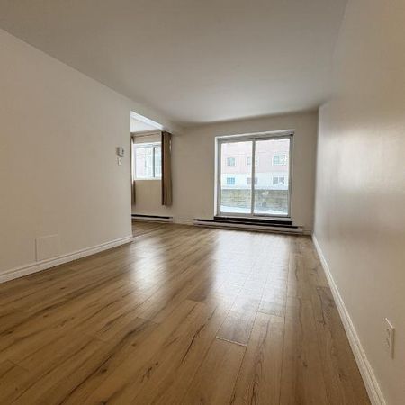 Appartement 4 ½ à louer Lévis décembre 2025 - Photo 3