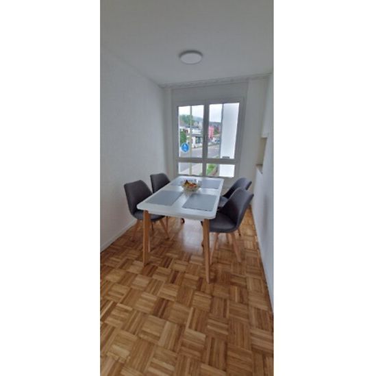 2½ Zimmer-Wohnung in Langwiesen (ZH), möbliert, auf Zeit - Photo 1