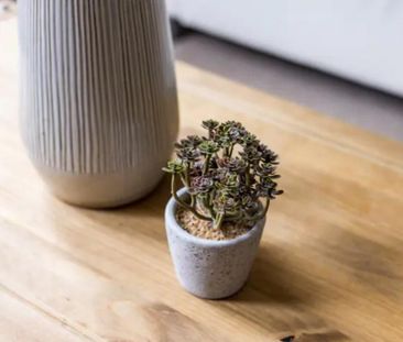 2 bedroom ground floor flat to rent - Photo 4