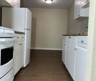 1 Bed 1 Bath Available In Beautiful - Photo 4