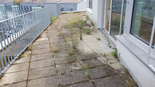 Moderne 2.5-Zimmer-Attikawohnung mit grosser Terrasse - Photo 1