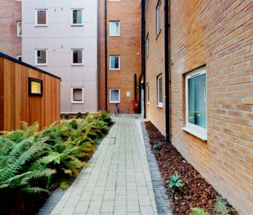 Gold En Suite - Photo 4