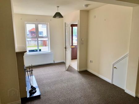 4 Lyle View Terrace, Doagh, BT39 0QP - Photo 4
