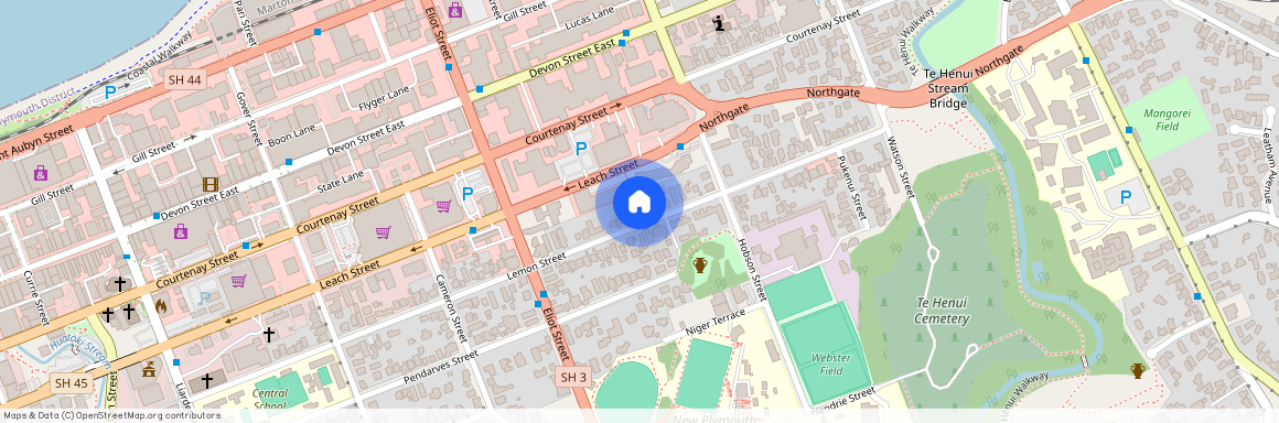 117 Lemon Street, New Plymouth Central, New Plymouth