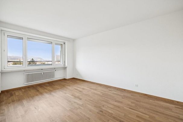 Schöne 4.5-Zimmerwohung in Pratteln - Foto 1