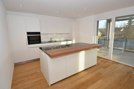 Wohnpark "untere Grüneck" in 8555 Müllheim - Foto 4