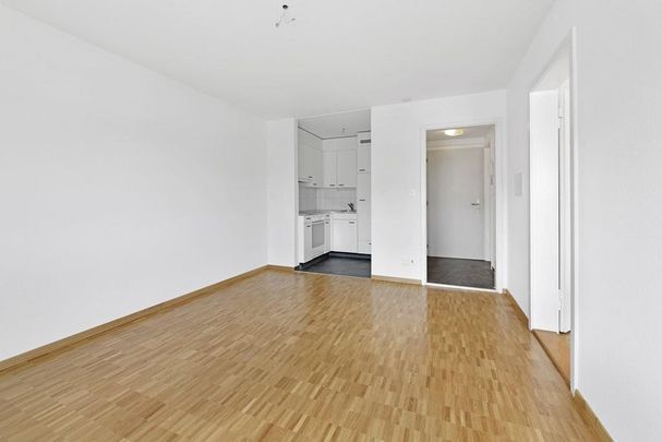 Kleinwohnung an bester Lage im Osten von St. Gallen - Foto 1