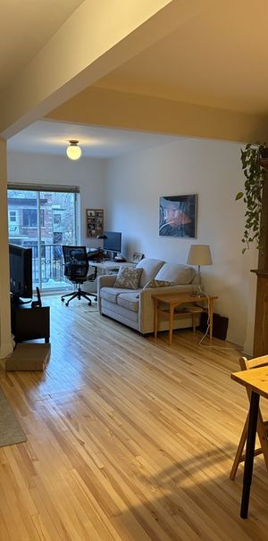 Appartement Lumineux Rosemont - Photo 1