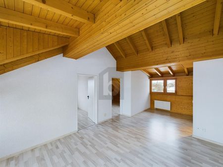 STUNNING VIEW OF THE APPENZELLER LAND - Photo 4