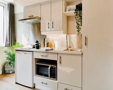 Platinum Plus Studio - Photo 4