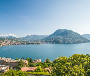 SPETTACOLARE 3.5 LOCALI AMMOBILIATO CON VISTA LAGO A PARADISO - Photo 3