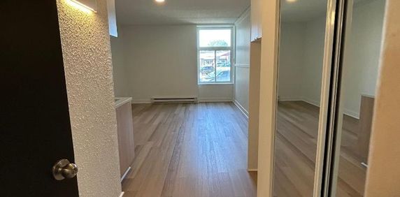 Studio - Saint-Charles-Borromée - $1,049 /mo - Photo 2