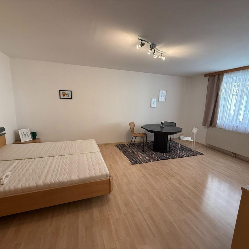 Möblierte Appartements zu vermieten - Auch Kurzzeitmiete - Foto 1