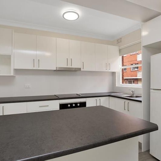 SPACIOUS RENOVATED 1 BEDROOM UNIT! - Photo 1