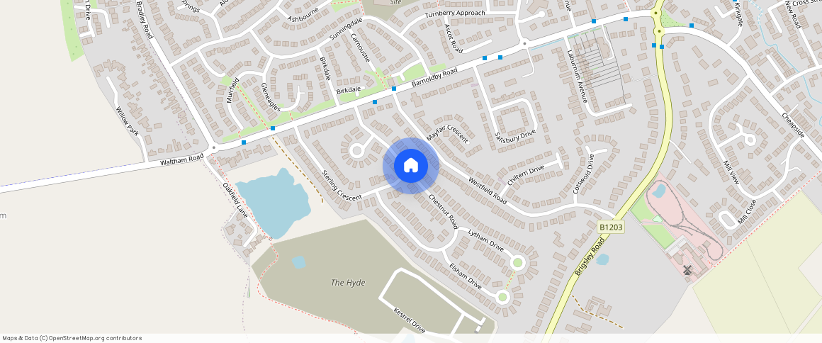 Chestnut Road, Grimsby DN37