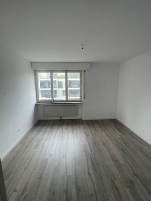 LARGE 3.5-ROOM APARTMENT 2ND FLOOR WITH BALCONY AND ELEVATOR - Photo 1