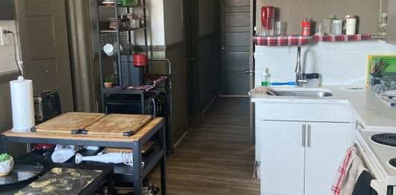 Colocation Métro Lasalle - Photo 2