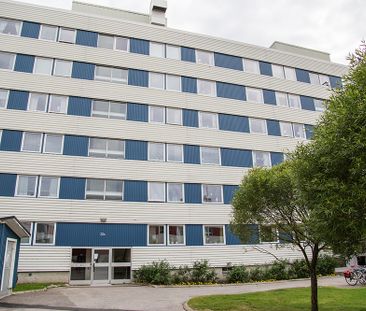 Hamnplan 20 B, 94161, Piteå - Foto 4