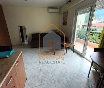 Studio/Γκαρσονιέρα για ενοικίαση Χιλιαδού (Βόλος) - Φωτογραφία 4