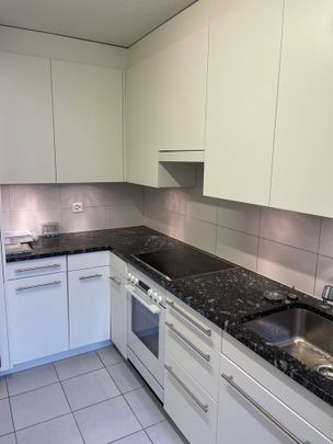 4.5 Zimmer, 103 m², 1. Stock - Foto 1