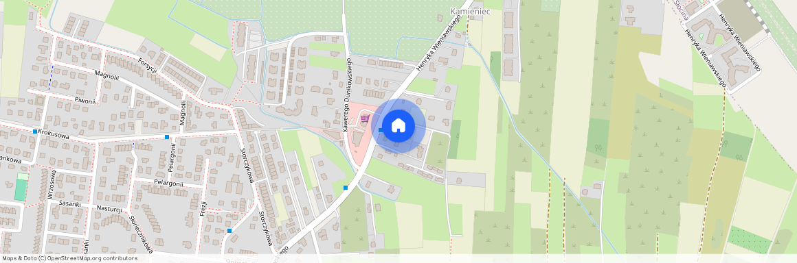 ul. Henryka Wieniawskiego, Zalesie, Rzeszów, podkarpackie