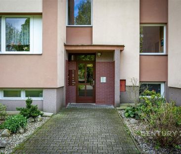 Pronájem bytu 1+kk 30 m2 - Fotografie 4