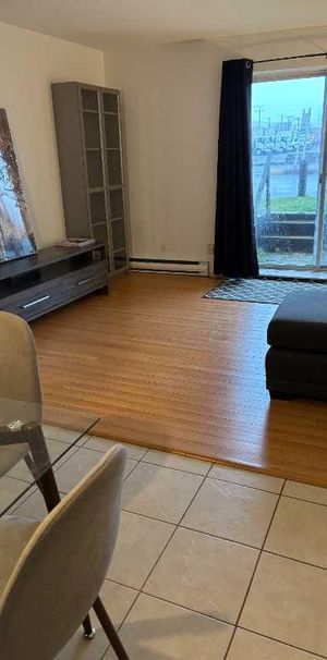 3 ½ très ensoleillé (DÉCEMBRE/Janvier) - Photo 1