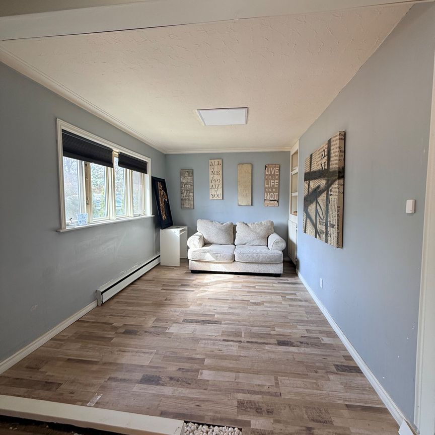 For Lease - 46 Elm Grove Avenue, Richmond Hill, Ontario - Photo 1