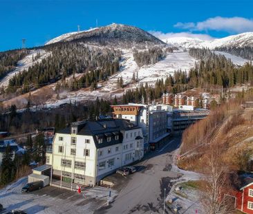 Tottvägen, Åre - Foto 5