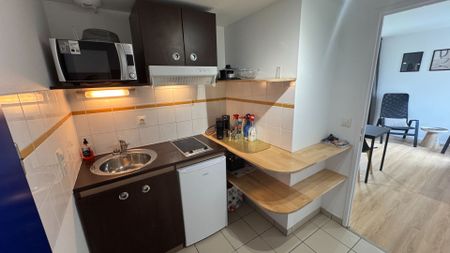 HAUT d'IDRON, Au Calme, T1 BIS Meublé en Résidence récente avec climatisation et parking privé, - Photo 3