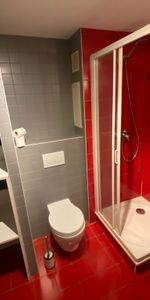 Location Appartement 1 pièce 18m² CHAMBERY 73000 - Photo 4