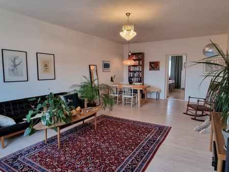 Rådmansgatan, Malmö - Foto 2