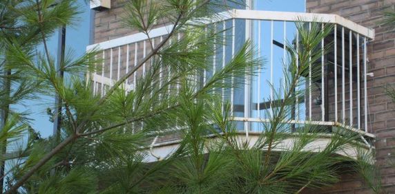 Beau 4 1/2 libre maintenant à Ste-Catherine (rive-sud de Mtl) - Photo 2