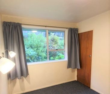 Views Are Amazing! Selwyn Heights - Photo 4