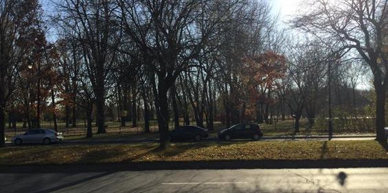 4 1/2 - 2 Bedroom - Metro/Park Angrignon - Photo 3